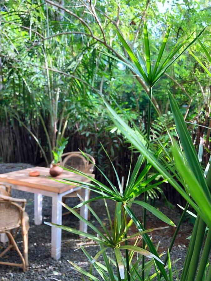 Le Cabanon Apartment Dikwella Bagian luar foto