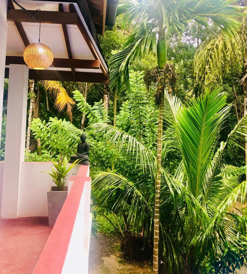 Le Cabanon Apartment Dikwella Bagian luar foto